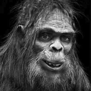 Meet your Posher, Reilley